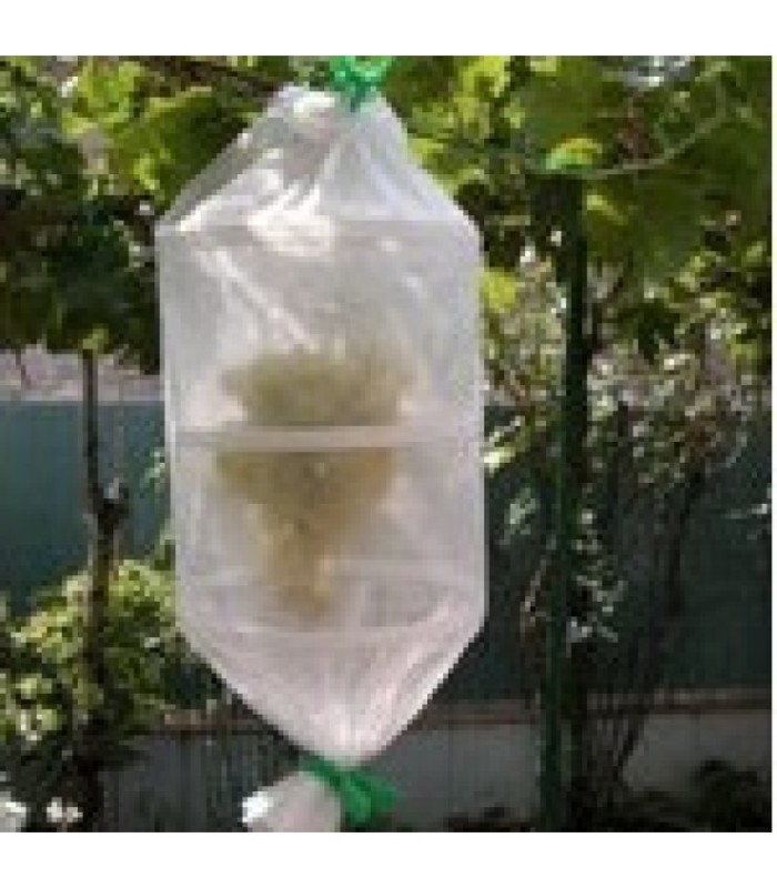 BOLSAS PROTECTOR EMBUTIDOS