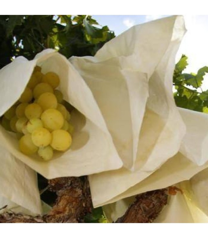 BOLSAS PROTECTOR UVAS