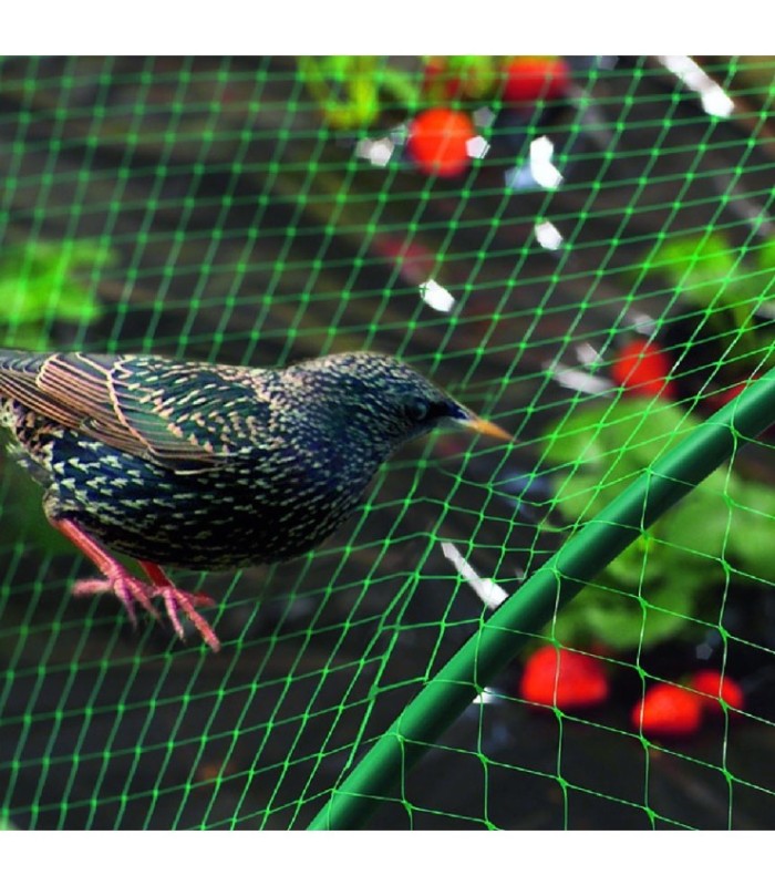 MALLA ANTIPAJAROS 4X  6