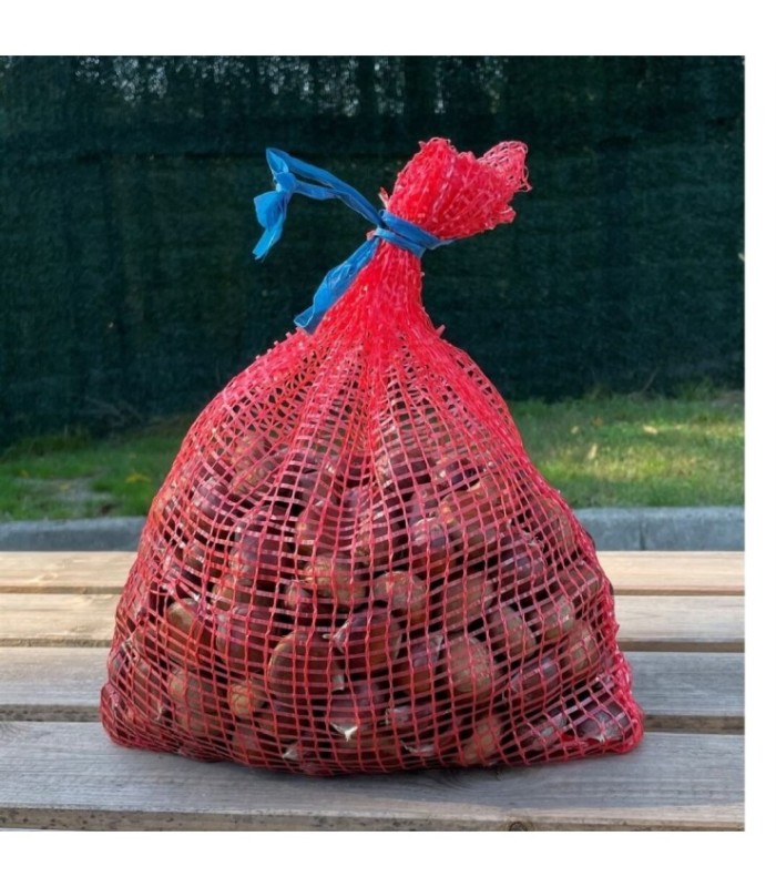 SACOS CASTAÑA 30X50 ROJOS 5K  C/CIERRE  PQ-500 monofilamento