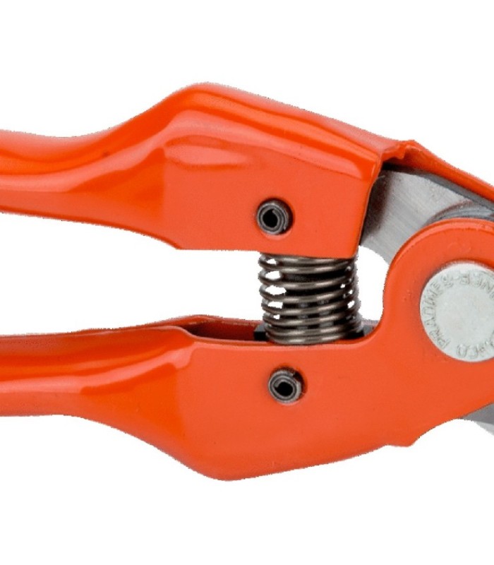 SERRUCHO PODA SOLITA  SIN MANGO